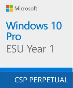 Програмний продукт Microsoft Windows 10 ESU Year 1 (2025 - 2026), фото  | SNABZHENIE.com.ua