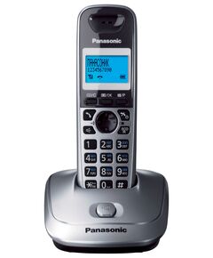 Радіотелефон DECT Panasonic KX-TG2511UAM, Metallic, фото  | SNABZHENIE.com.ua