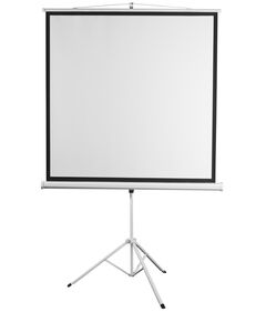 Екран на тринозі 2E 1:1, 80", 1.45x1.45 м, MW, фото  | SNABZHENIE.com.ua