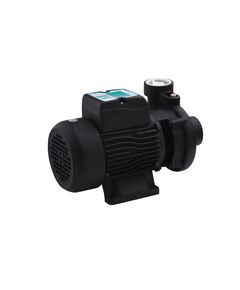 Насос поверхневий поливальний Pumpman 2DK20 Нmax 17 м Qmax 27 куб.м 2х2 750 Вт, фото  | SNABZHENIE.com.ua