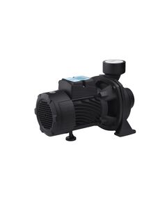 Насос поверхневий поливальний Pumpman TGA1C Нmax 15 м Qmax 30 куб.м 2х2 750 Вт, фото  | SNABZHENIE.com.ua