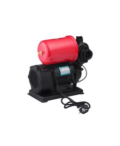Насосна станція Pumpman TGPB125C, Нmax 35 м, Qmax 2,4 м³, 370 Вт, бак 2 л, фото  | SNABZHENIE.com.ua