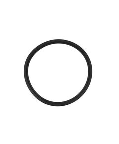 Кольцо уплотнительное Rozma 160 мм, фото  | SNABZHENIE.com.ua