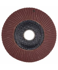 Круг лепестковый Т29 конический Ø125мм P100 SIGMA, фото  | SNABZHENIE.com.ua