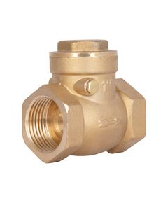 Обратный клапан Thermo Alliance Standart 1" SD242W25, фото  | SNABZHENIE.com.ua