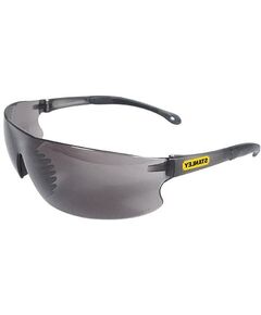 Очки защитные STANLEY SY120-2D, фото  | SNABZHENIE.com.ua