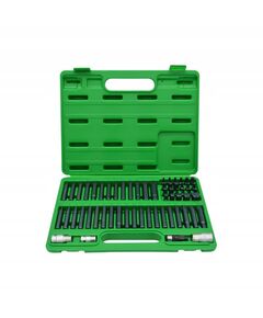 Професійний набір біт TORX, HEX, SPLINE, RIBE, SQ 60 од. TOPTUL, фото  | SNABZHENIE.com.ua