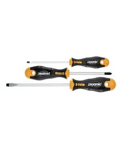 Набір викруток ERGONIC CrMoV сталь 5,5x125 / 6,5x150 / PH2x100, фото  | SNABZHENIE.com.ua