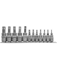 Набор торцевых головок TORX T8-T55, 1/4 и 3/8, 12 шт. YATO YT-04331, фото  | SNABZHENIE.com.ua