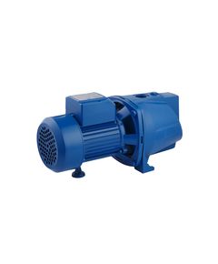 Насос Forwater JSW 15M, 1.5 кВт, поверхностный для воды, фото  | SNABZHENIE.com.ua