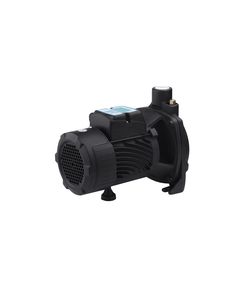 Насос поверхневий поливальний Pumpman TCP158 Нmax 33м Qmax 6 куб.м 1х1 750 Вт (чавун/алюміній), фото  | SNABZHENIE.com.ua