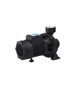 Поливочный насос Pumpman TGA1C 750 Вт, фото  | SNABZHENIE.com.ua
