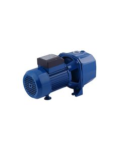 Насос Forwater DP370A 0,75 кВт с инжектором, фото  | SNABZHENIE.com.ua