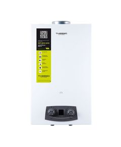 Газовая колонка Thermo Alliance JSD20-10N-QB 10 л EURO+, дымоходная, фото  | SNABZHENIE.com.ua