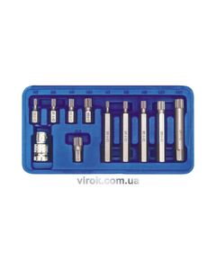 Насадки викруткові (біт) VOREL Cr-V на тріщатку Spline 1/2, в пластиковому футлярі. Набір 11 шт., фото  | SNABZHENIE.com.ua