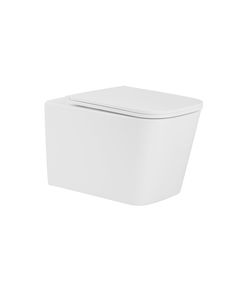 Унитаз Qtap Tern Ultra Quiet безободковый с сиденьем Soft-close WHITE, фото  | SNABZHENIE.com.ua