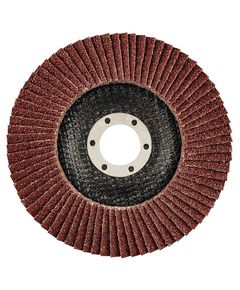 Пелюстковые круги 125 x 22.2 мм, K40, 55H987 - для шліфування, фото  | SNABZHENIE.com.ua