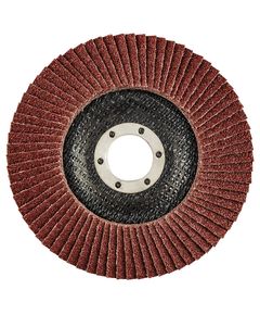 Пелюсткові круги K60 125x22.2 мм, 55H988 – для шліфування, фото  | SNABZHENIE.com.ua