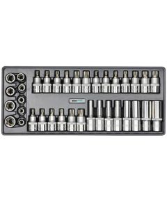 Набор головок Whirlpower Torx, Spline 1/2 36 ед. в ложементе AN-SK54, фото  | SNABZHENIE.com.ua