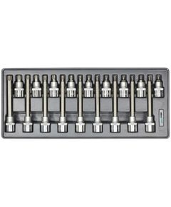 Набор головок Whirlpower Torx 1/2 Т20-Т60, 18 шт, ложемент AN-SK55, фото  | SNABZHENIE.com.ua
