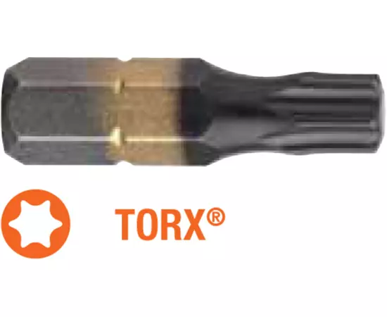 Насадка викруткова USH DIATIN : TORX T40 x 25 мм. титанове покриття, алмазне напилення.  Уп. 10 шт., фото  | SNABZHENIE.com.ua