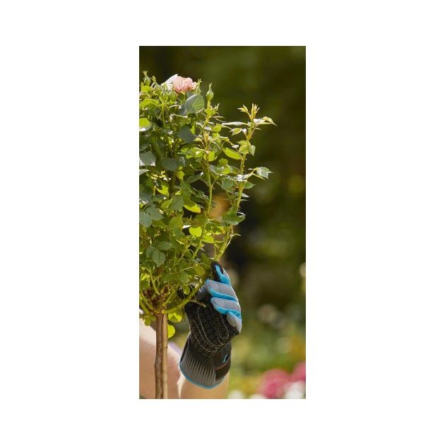 Перчатки для работ с розами Gardena Oeko-Tex® 9/L, фото , зображення 10 | SNABZHENIE.com.ua Перчатки для работ с розами Gardena Oeko-Tex® 9/L, фото , зображення 10 | SNABZHENIE.com.ua
