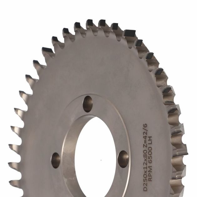 Фреза насадная Hogger COMPACT D=250 I=12 F=80+4/15/100 Z=42/6 H6,0 LH, фото , изображение 4 | SNABZHENIE.com.ua Фреза насадная Hogger COMPACT D=250 I=12 F=80+4/15/100 Z=42/6 H6,0 LH, фото , изображение 4 | SNABZHENIE.com.ua