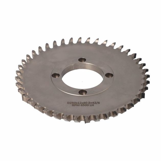 Фреза насадна Hogger COMPACT D=250 I=12 F=80+4/15/100 Z=42/6 H6,0 RH S-System 192, фото  | SNABZHENIE.com.ua