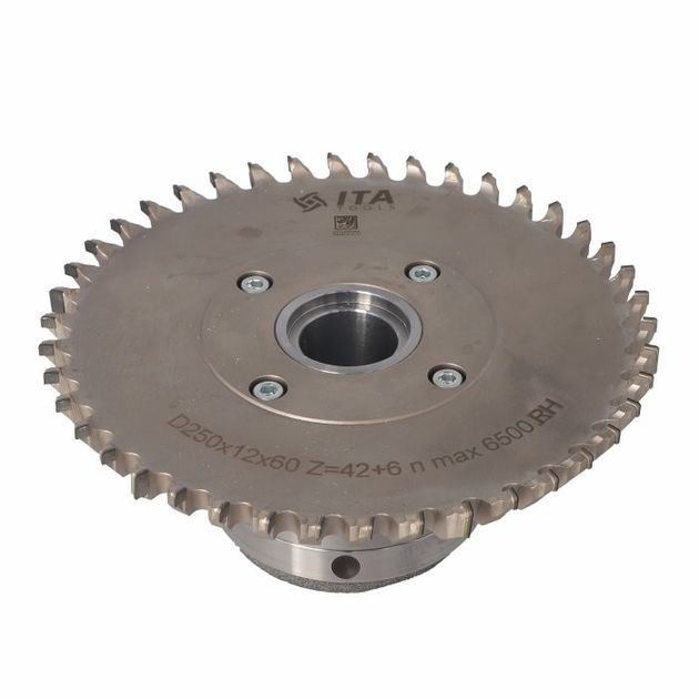 Насадна фреза Hogger COMPACT D=250 I=12 F=60+4/15/100 Z=48/6 H6,0 RH S-System 160, фото  | SNABZHENIE.com.ua