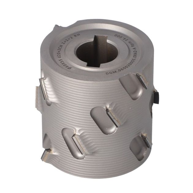 DGM Фреза насадная DIA D=60 l=55 d=20+2CH LN Z=2+2 (14) H=2,5 RH, фото , изображение 3 | SNABZHENIE.com.ua