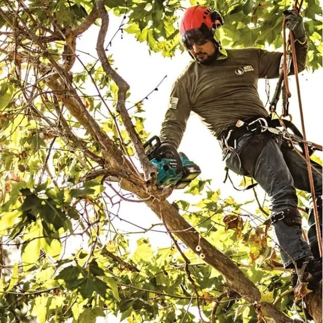 Makita DUC406Z аккумуляторная LXT, без АКБ, 400мм, фото , зображення 3 | SNABZHENIE.com.ua