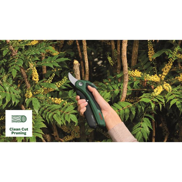 Bosch Секатор акумуляторний EasyPrune 0.600.8B2.102, фото , изображение 7 | SNABZHENIE.com.ua