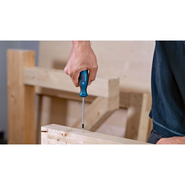 Bosch Викрутка, Torx T10x75мм, фото , изображение 3 | SNABZHENIE.com.ua