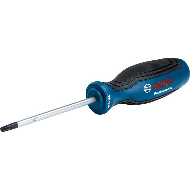 Bosch Викрутка, Torx T25x100мм, фото  | SNABZHENIE.com.ua