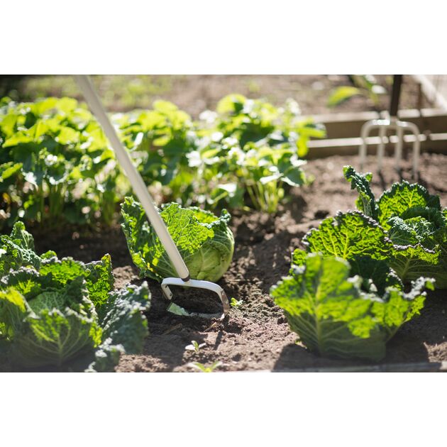 Fiskars Мотика для видалення бур'янів  полегшена  White, фото , изображение 6 | SNABZHENIE.com.ua Fiskars Мотика для видалення бур'янів  полегшена  White, фото , изображение 6 | SNABZHENIE.com.ua