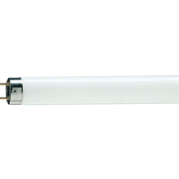 Philips TL-D G13 1200mm 36W/54-765 1SL/25, фото  | SNABZHENIE.com.ua