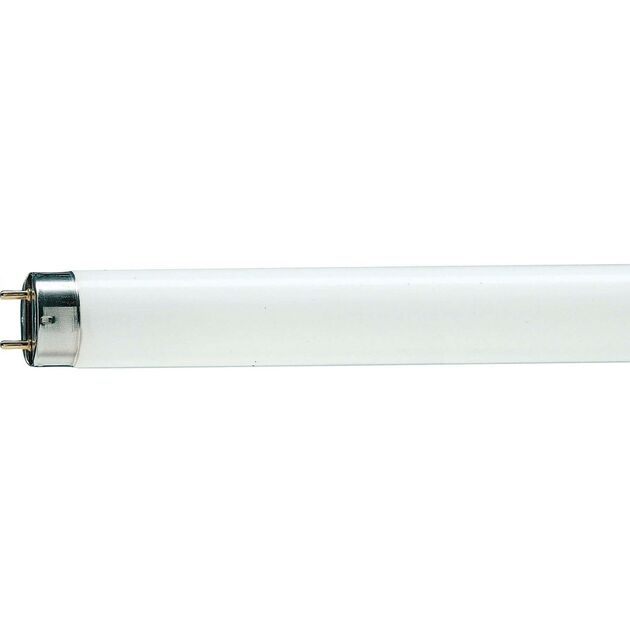 Philips TL-D G13 1200mm 36W/33-640 1SL/25, фото  | SNABZHENIE.com.ua