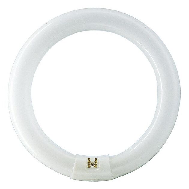 Philips TL-E 22W/54-765 1CT/12, фото  | SNABZHENIE.com.ua
