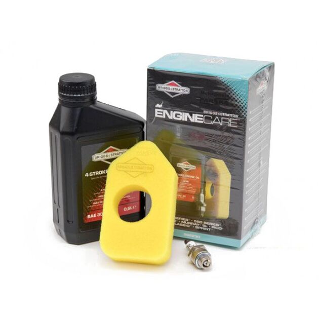 Набір для обслуговування бензинових двигунів B&S Series 450, 550 , фото  | SNABZHENIE.com.ua