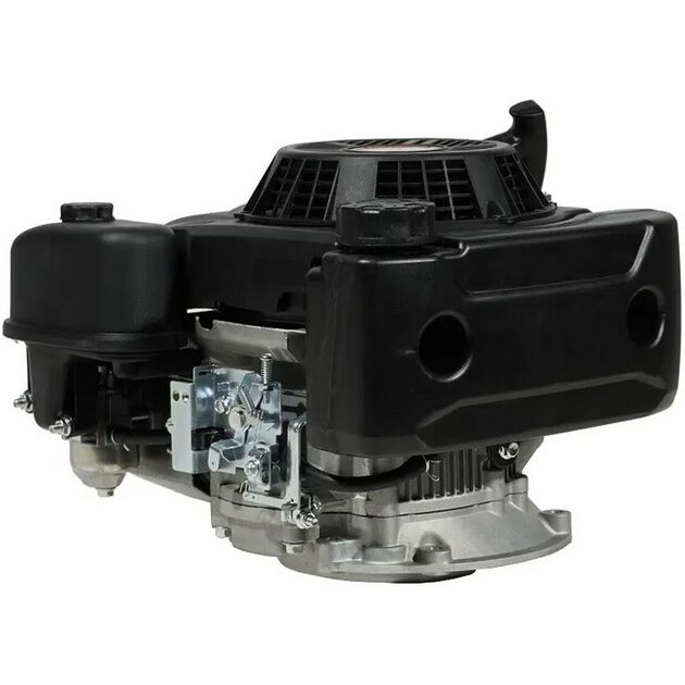 Двигун бензиновий PRO 225 LC1P75F, сталь, силумін , фото  | SNABZHENIE.com.ua