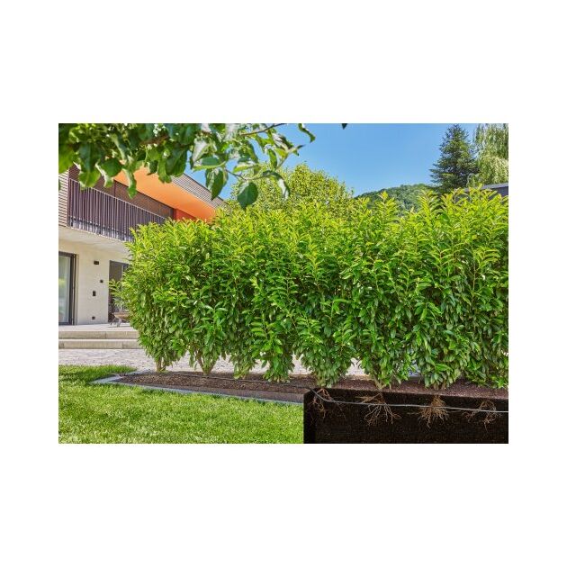 Шланг для микрокапельного полива Gardena Micro-Drip-System 13 мм 25 м, фото , зображення 4 | SNABZHENIE.com.ua Шланг для микрокапельного полива Gardena Micro-Drip-System 13 мм 25 м, фото , зображення 4 | SNABZHENIE.com.ua