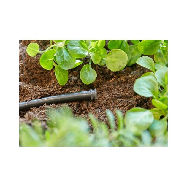 Заглушка Gardena Micro-Drip-System для шлангов 4,6 мм (3/16") 10 шт, фото , зображення 4 | SNABZHENIE.com.ua Заглушка Gardena Micro-Drip-System для шлангов 4,6 мм (3/16") 10 шт, фото , зображення 4 | SNABZHENIE.com.ua