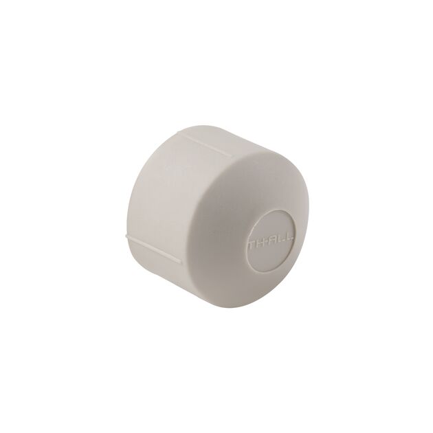 Заглушка PPR Thermo Alliance 25, фото  | SNABZHENIE.com.ua