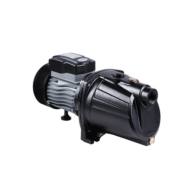 Насос самовсасывающий центробежный Thermo Alliance D-JNWm-10M 0,75 кВт, фото  | SNABZHENIE.com.ua