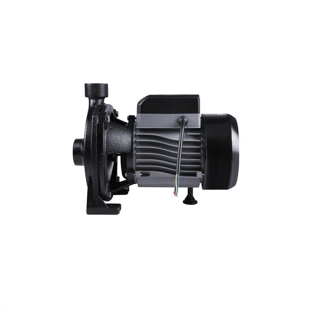 Насос поверхностный центробежный Thermo Alliance CPm170/1 1,1 кВт, фото , изображение 3 | SNABZHENIE.com.ua Насос поверхностный центробежный Thermo Alliance CPm170/1 1,1 кВт, фото , изображение 3 | SNABZHENIE.com.ua
