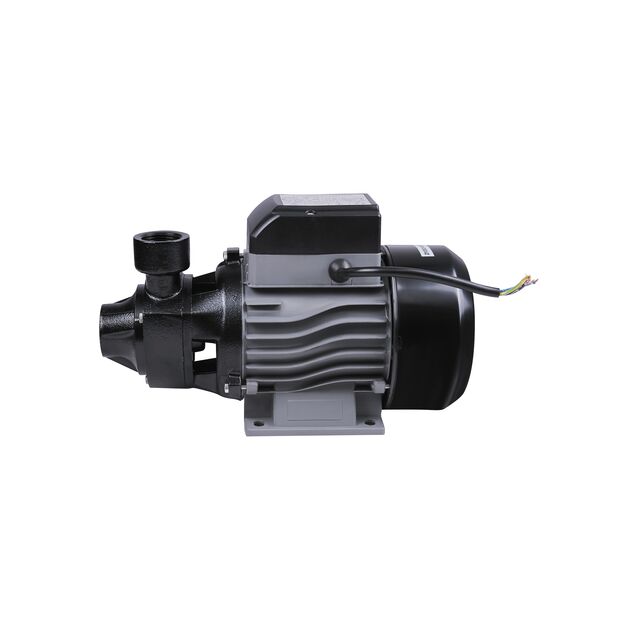 Насос поверхностный вихревой Thermo Alliance QBm80 0,75 кВт, фото , изображение 3 | SNABZHENIE.com.ua Насос поверхностный вихревой Thermo Alliance QBm80 0,75 кВт, фото , изображение 3 | SNABZHENIE.com.ua