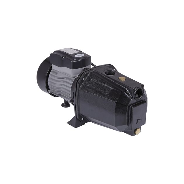 Насос самовсасывающий центробежный Thermo Alliance D-JETm-100M 0,75 кВт, фото  | SNABZHENIE.com.ua