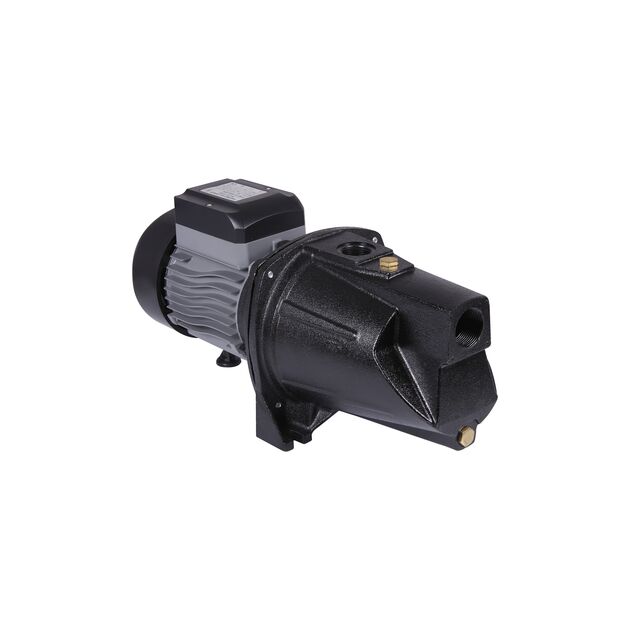 Насос самовсасывающий центробежный Thermo Alliance D-JSWm-20M 1,5 кВт, фото  | SNABZHENIE.com.ua
