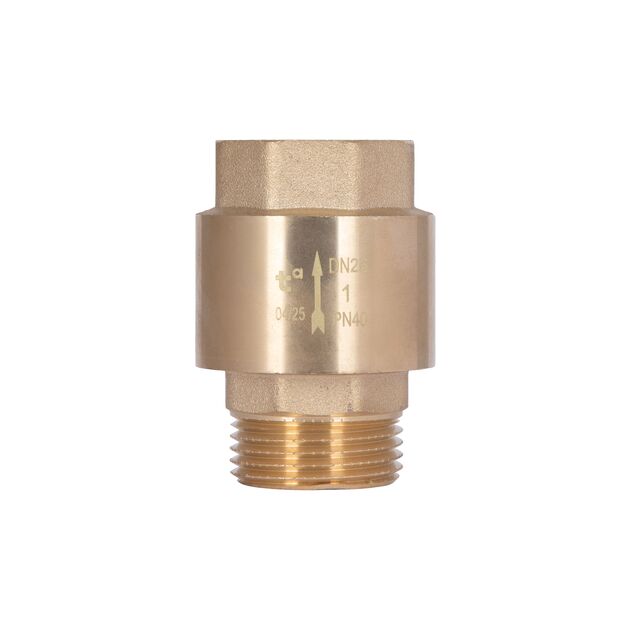 Обратний клапан Thermo Alliance Standart 1"ВН с латунным штоком TAS248W25, фото  | SNABZHENIE.com.ua