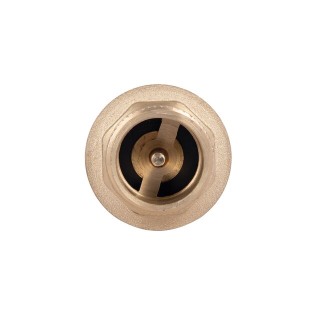 Обратний клапан Thermo Alliance Standart 1"ВН с латунным штоком TAS248W25, фото , зображення 6 | SNABZHENIE.com.ua Обратний клапан Thermo Alliance Standart 1"ВН с латунным штоком TAS248W25, фото , зображення 6 | SNABZHENIE.com.ua